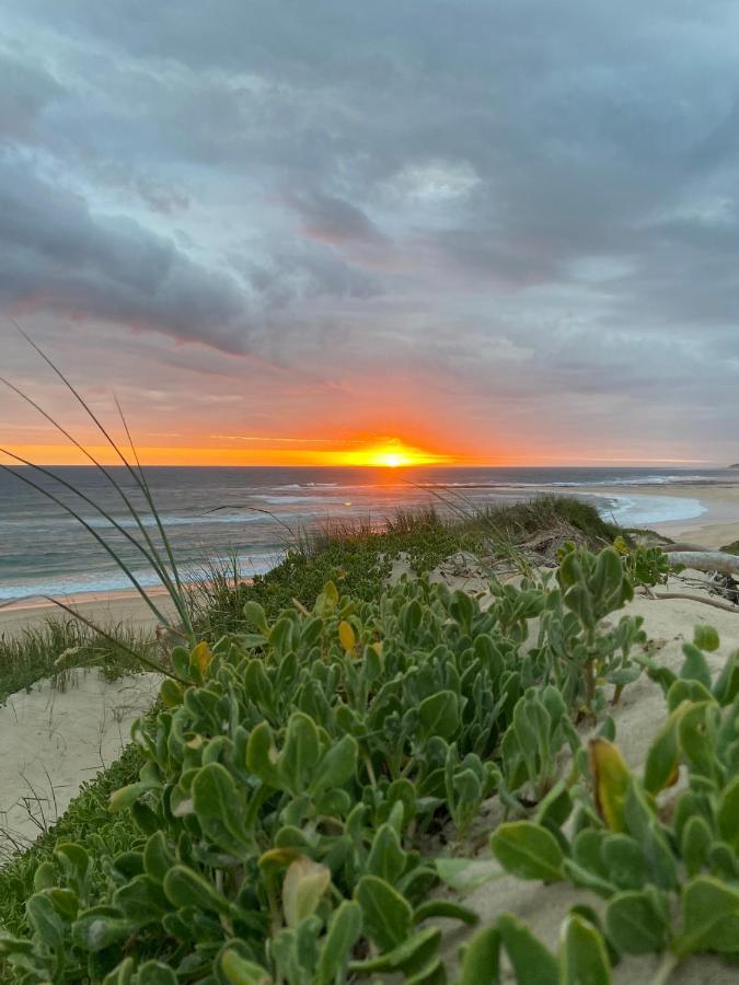 Soutelande Country Stay - Close To 1#Beach In Pe Порт Елизабет Екстериор снимка