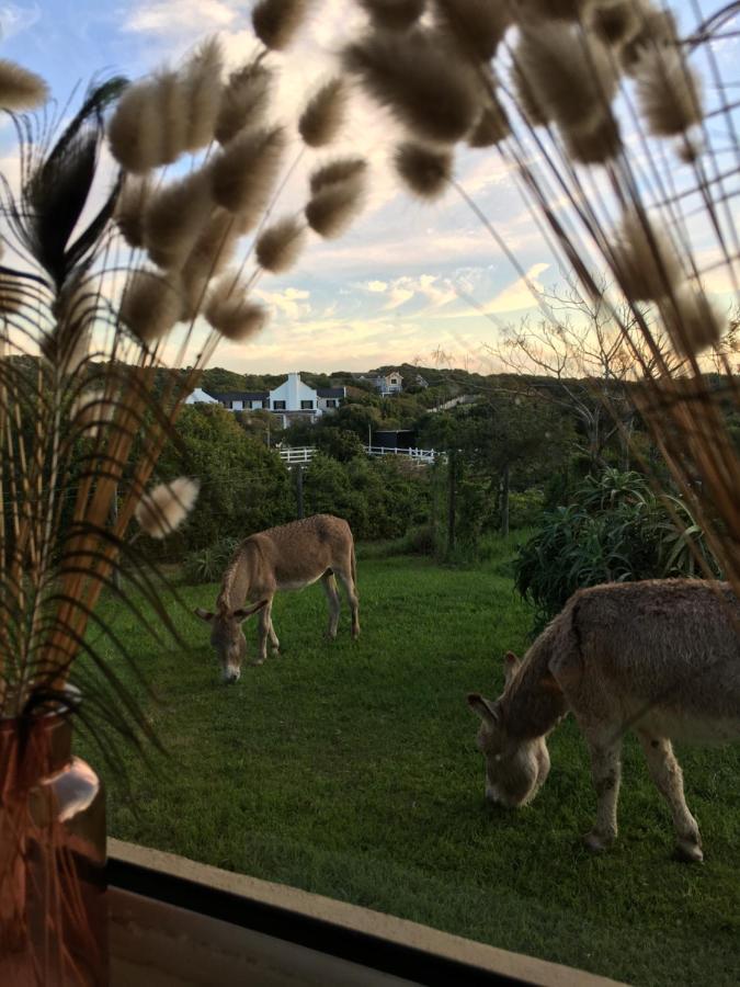 Soutelande Country Stay - Close To 1#Beach In Pe Порт Елизабет Екстериор снимка