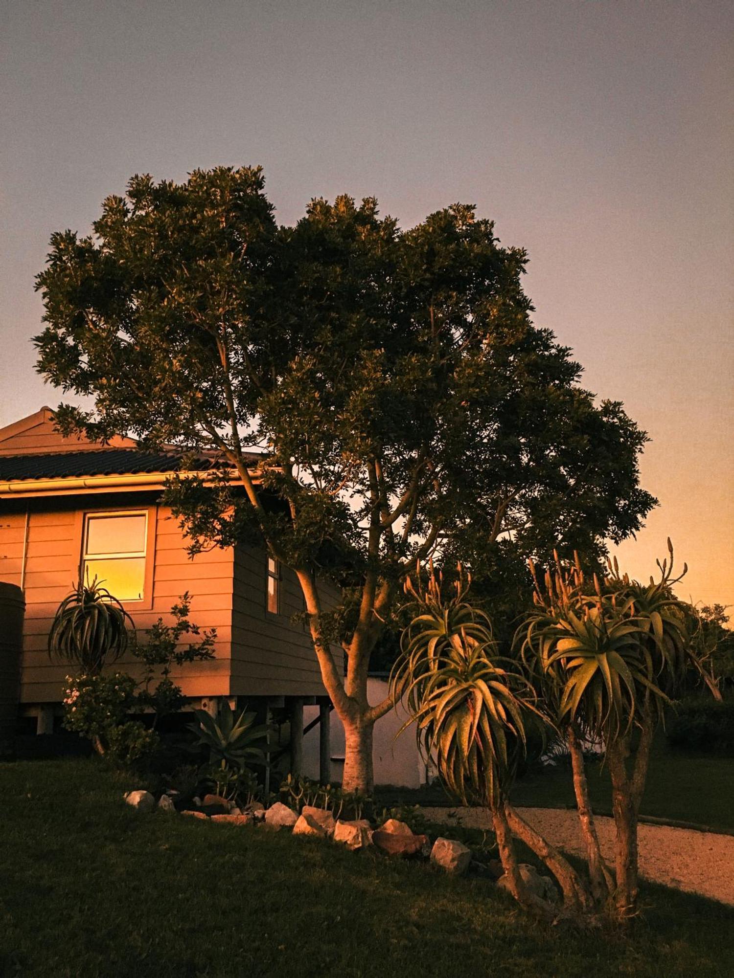 Soutelande Country Stay - Close To 1#Beach In Pe Порт Елизабет Екстериор снимка