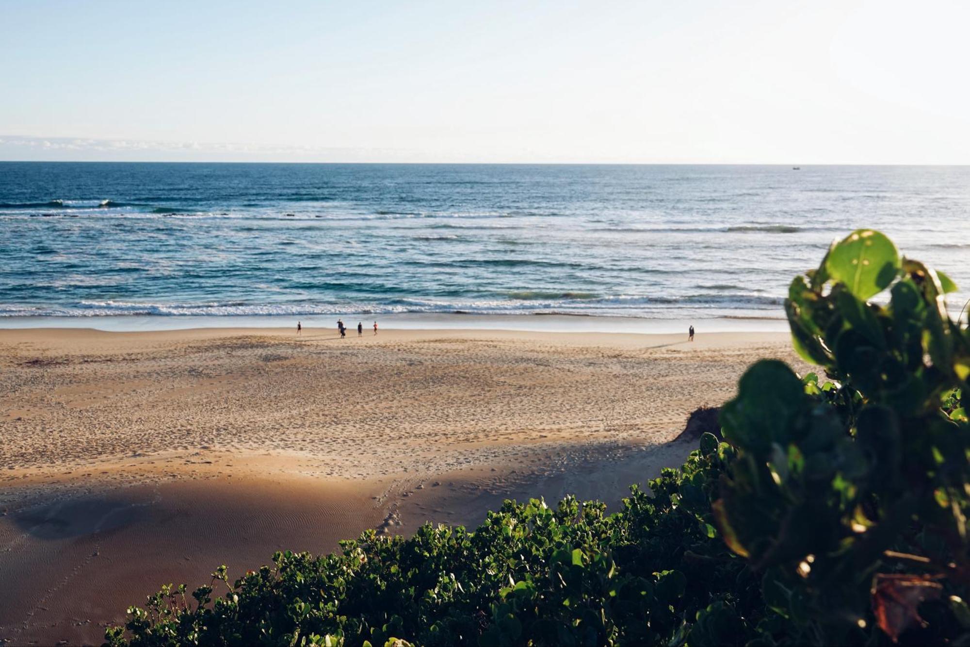 Soutelande Country Stay - Close To 1#Beach In Pe Порт Елизабет Екстериор снимка