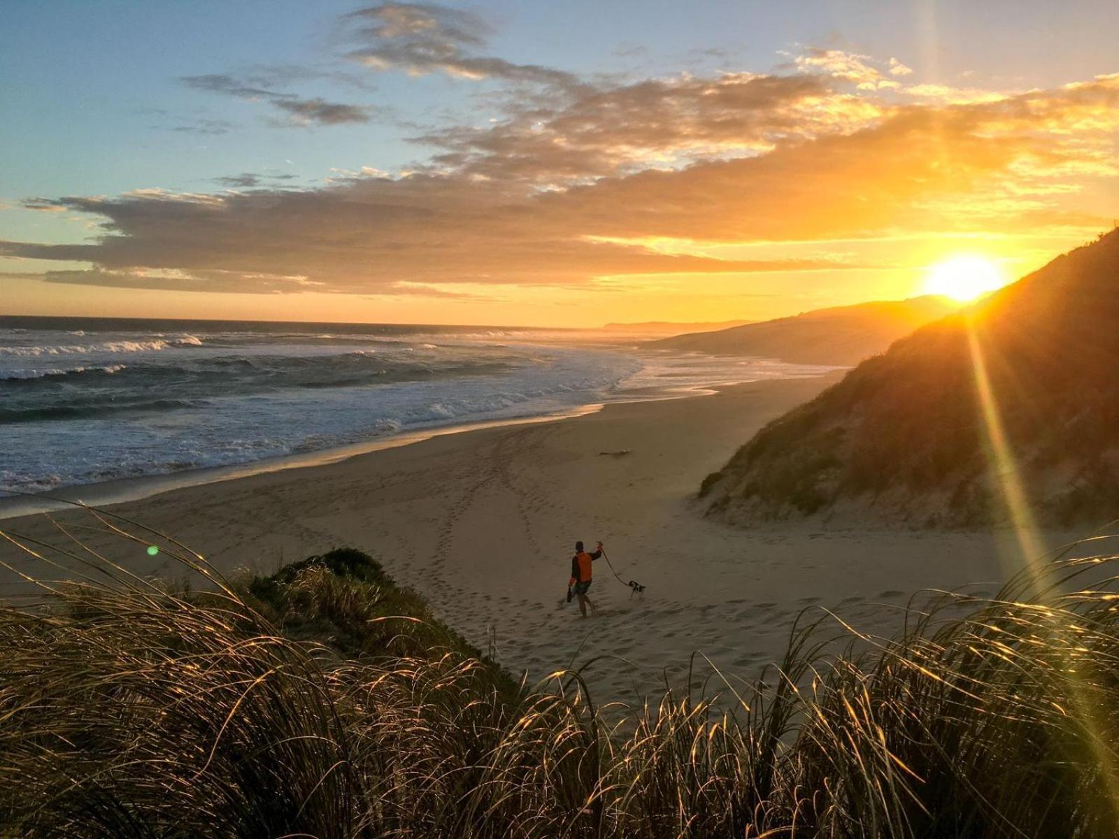 Soutelande Country Stay - Close To 1#Beach In Pe Порт Елизабет Екстериор снимка